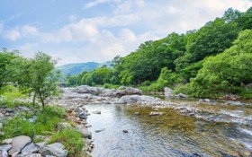 Yangpyeong Mountain Yard Pension