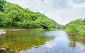Yangpyeong Mountain Yard Pension