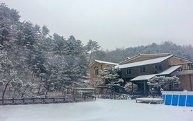 Yangpyeong Pension Forest