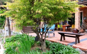 Yangpyeong Pension Forest