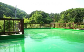 Yangpyeong Pension Forest