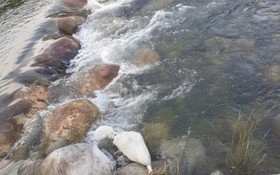 Yangpyeong Popperas Spa Pension