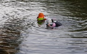 Yangpyeong Popperas Spa Pension