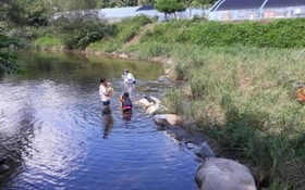 Yangpyeong Popperas Spa Pension