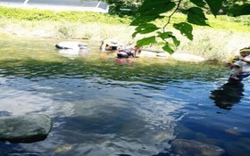 Yangpyeong Popperas Spa Pension