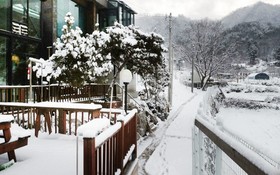 Yangpyeong Saesoon Pension