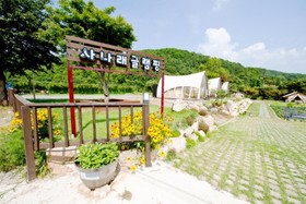 Yangpyeong Sanarae Glamping
