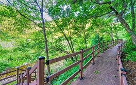 Yangpyeong Sunny Day Pension