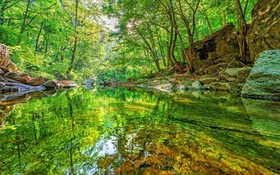 Yangpyeong Sunny Day Pension