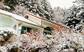 Yangpyeong Waltz Pension
