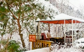 Yangpyeong Waltz Pension