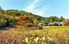 Haeyeorim Village