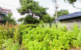 Yeoju Hana Pension