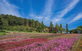 Yeoncheon Herb Village Pension