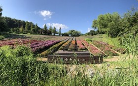 Yeoncheon Herb Village Pension