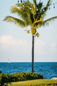 The Grand Caymanian Resort