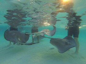 Wyndham Reef Resort Grand Cayman