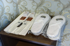 Premier Alatau Hotel & Business Center