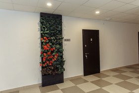 Sulo Apartments