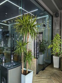 Shymkent Park Hotel