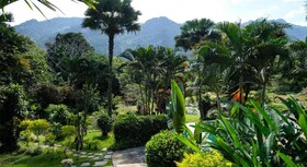 Hillside - Nature Lifestyle Lodge