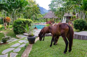 Hillside - Nature Lifestyle Lodge