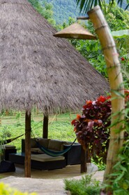 Hillside - Nature Lifestyle Lodge