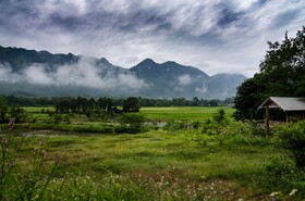 Hillside - Nature Lifestyle Lodge