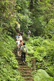 Hillside - Nature Lifestyle Lodge