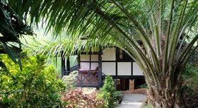 Hillside - Nature Lifestyle Lodge
