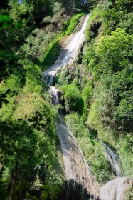 Luxury Camp@Green Jungle Park