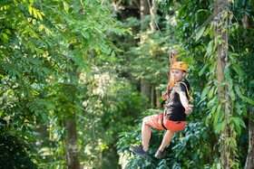 Luxury Camp@Green Jungle Park