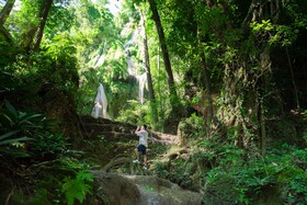 Luxury Camp@Green Jungle Park