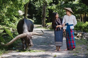 Luxury Camp@Green Jungle Park