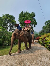 Luxury Camp@Green Jungle Park