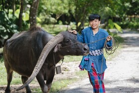 Luxury Camp@Green Jungle Park
