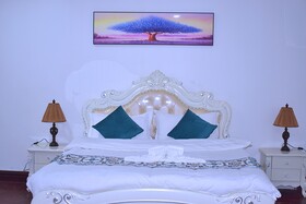 Monsane villa