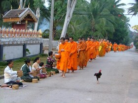 Pakhongthong Villa
