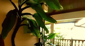 Pakhongthong Villa