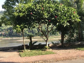Thip Villa Mekong Riverside