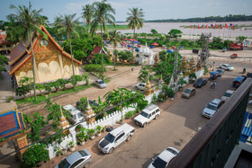 Lao Orchid