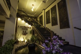 Lao Orchid