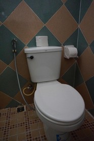 Vientiane Garden Villa Hotel