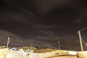 Mountain View Cedars