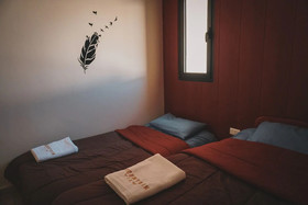 Mountain View Cedars