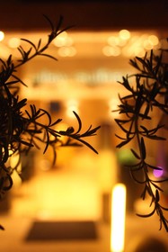 Aley Suites