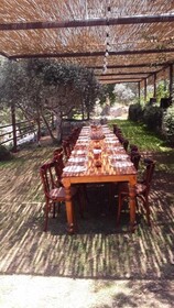 Abdelli Terraces