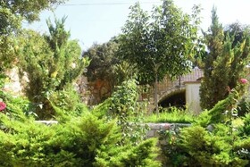 Abdelli Terraces