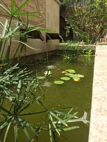 Arthaus Beirut