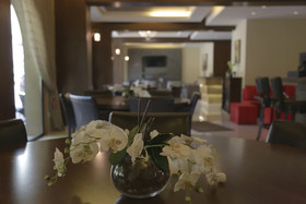 The Lodge Inn